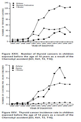 図4：国連科学委員会2000年報告書のグラフ