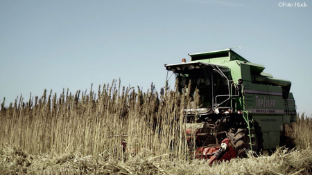 万能植物へンプで地球を救おう！