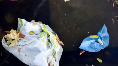 #BePlasticWise －Ocean Wiseが提唱するプラスチック製品撲滅推進活動－＠カナダ