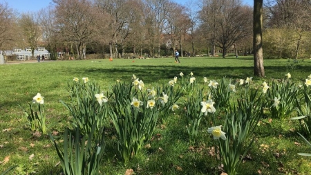 ドイツ：人生で一番長い休暇<br>世界コロナ日誌③