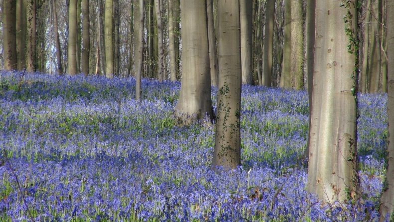特別寄稿：「コロナ後」の日本と世界について思うこと<br>世界コロナ日誌⑱