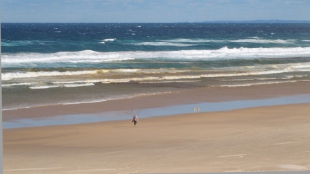 オーストラリア：支持される「冬眠戦略」<br>支援は潔くケチらず迅速に<br>世界コロナ日誌㉒